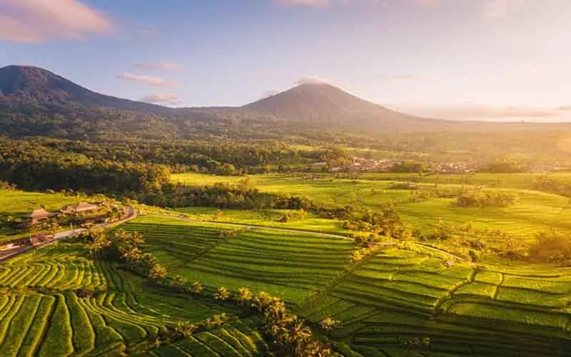 jatiluwih rice terrace